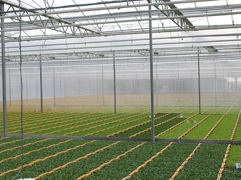 Locatie Lutjebroek