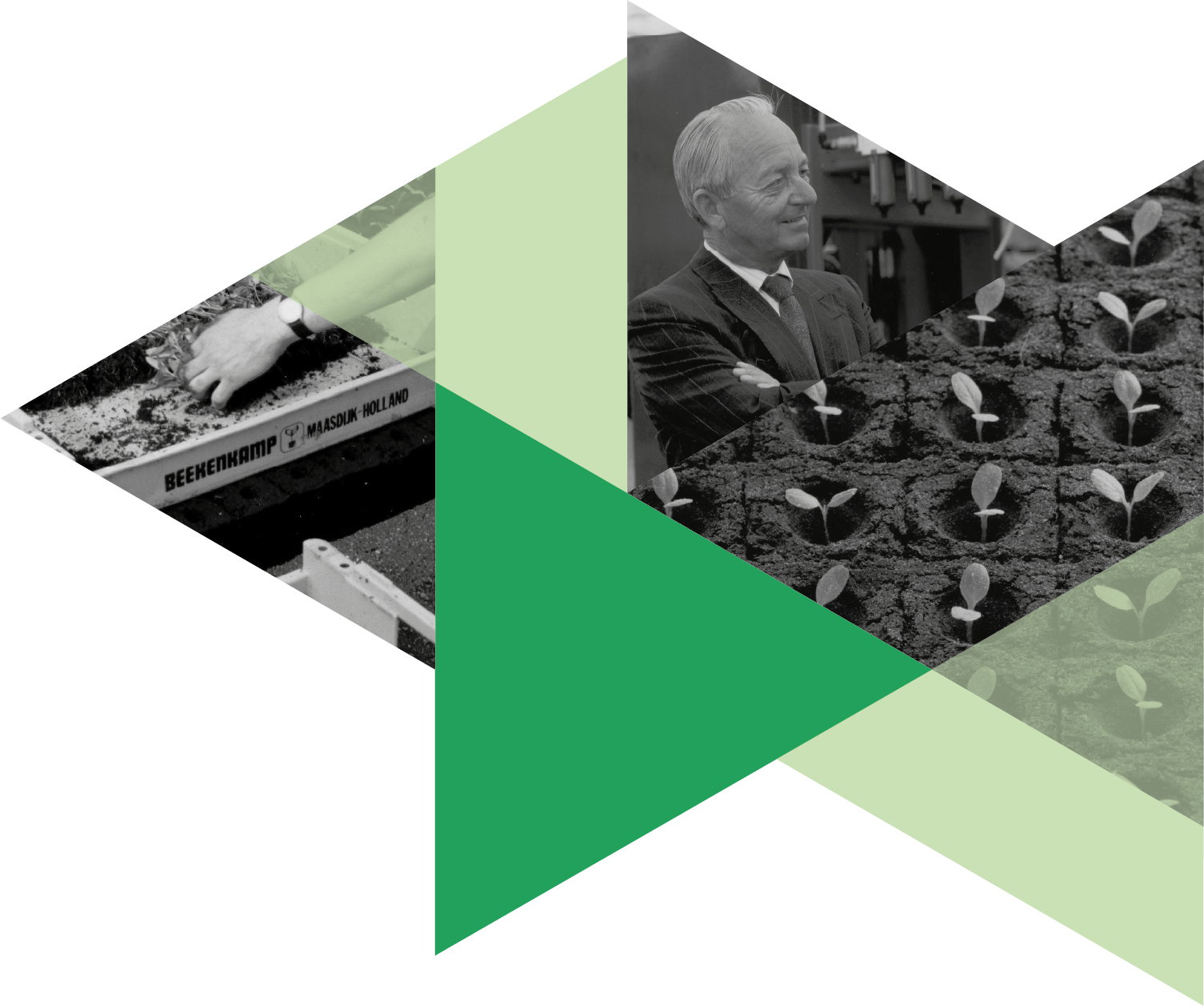 Driehoek collega Beekenkamp Group